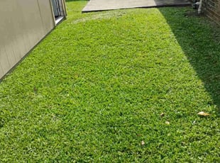 Pat M.'s lawn care services service result