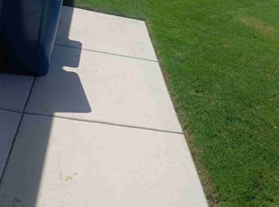 Annisia W.'s lawn care service result