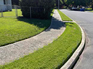 Madelyn B.'s lawn service service result