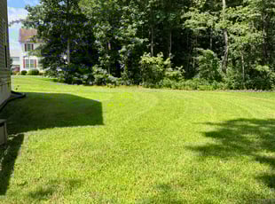 Taneea W.'s turf maintenance service result