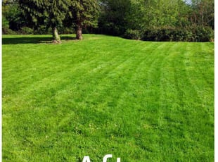 Ashley H.'s lawn maintenance service result