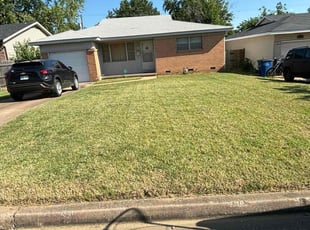 Taylor B.'s Long Grass Cleanup service result