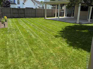 Gladys C.'s lawn maintenance service result
