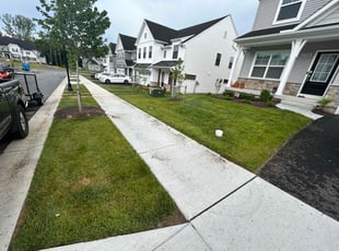 Ashley B.'s lawn care service result