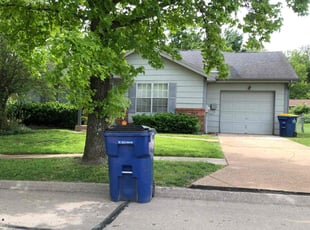 Ilene D.'s lawn maintenance service result