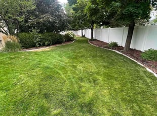 Mason C.'s lawn care services service result