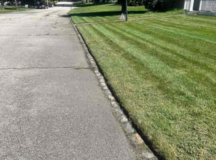 Sandra L.'s grass maintenance service result