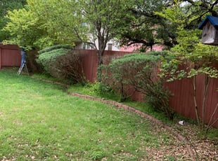 Debra W.'s Bush Trimming service result