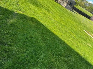 dottie c.'s grass maintenance service result