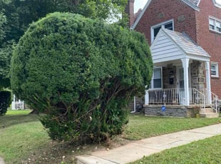 Joe E.'s Bush Trimming service result