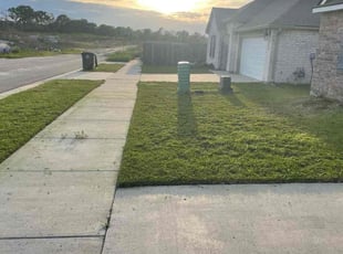 Richard C.'s lawn service service result