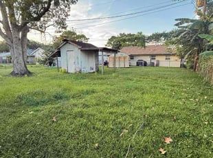 Kara B.'s grass cutting service result