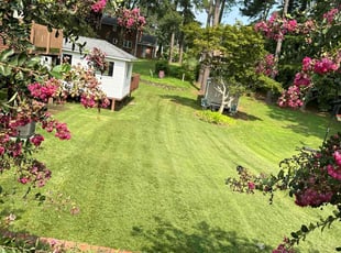 Vanessa G.'s lawn service service result