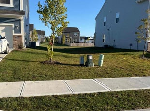 Edith B.'s lawn service service result