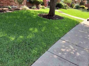 Edwin F.'s turf maintenance service result