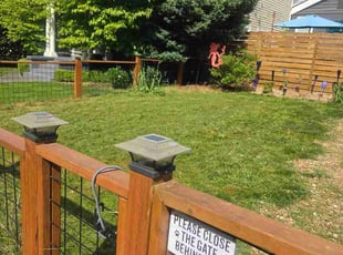 Jemps S.'s grass cutting service result