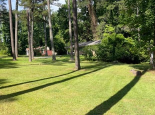 Sean R.'s lawn care services service result