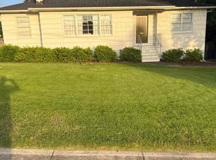 Paul S.'s lawn service service result