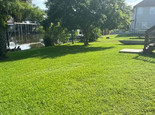 Kathy W.'s turf maintenance service result