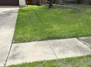 Brittany A.'s lawn care services service result