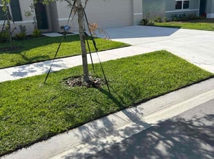Lindsay P.'s turf care service result