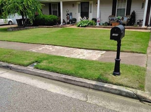 Melanie T.'s grass maintenance service result