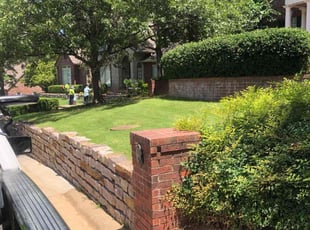 Kenyatta J.'s lawn maintenance service result
