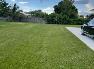 Melissa H.'s lawn service service result