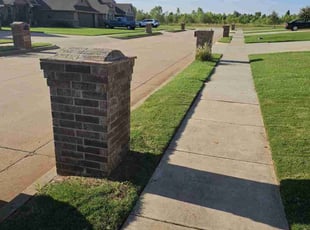 Sandy R.'s turf care service result