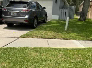 Suresh K.'s turf maintenance service result
