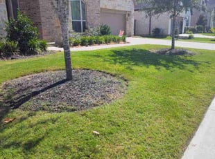 Expedito L.'s turf care service result