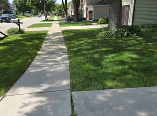 Bryan F.'s grass cutting service result