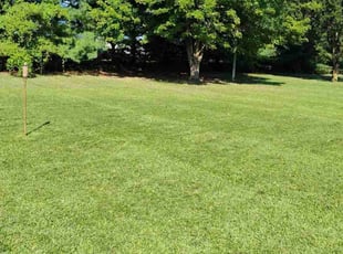 Katie l.'s grass maintenance service result