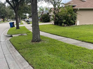 Helen W.'s grass cutting service result