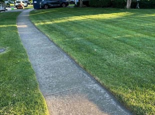 Joyce H.'s grass maintenance service result