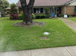 Calvin C.'s grass maintenance service result