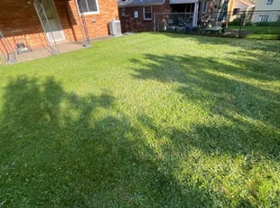Corey G.'s turf maintenance service result