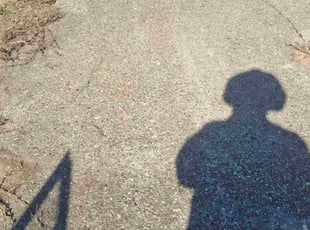 Michael M.'s grass cutting service result