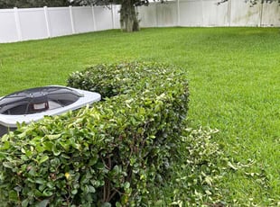 Dee B.'s Bush Trimming service result