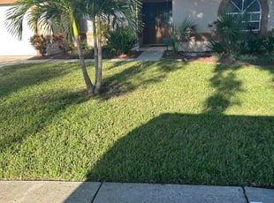 Michele M.'s lawn care services service result