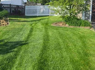 Shannon M.'s lawn maintenance service result