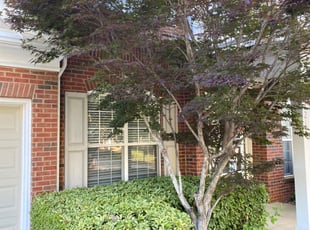 Jennifer W.'s Bush Trimming service result