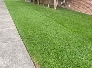 Jona W.'s lawn service service result