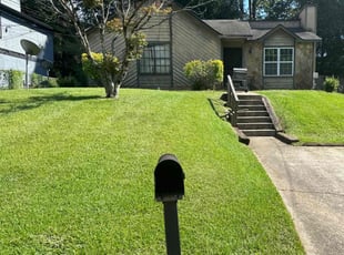 Rashell D.'s turf care service result