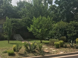 Earl S.'s Bush Trimming service result