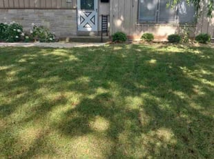 Vassel F.'s turf care service result