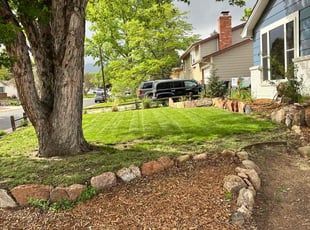 Michelle C.'s lawn service service result