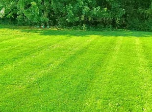 James V.'s lawn maintenance service result
