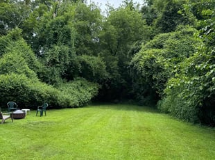 Valencia H.'s lawn service service result