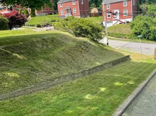 Lisa L.'s lawn care services service result